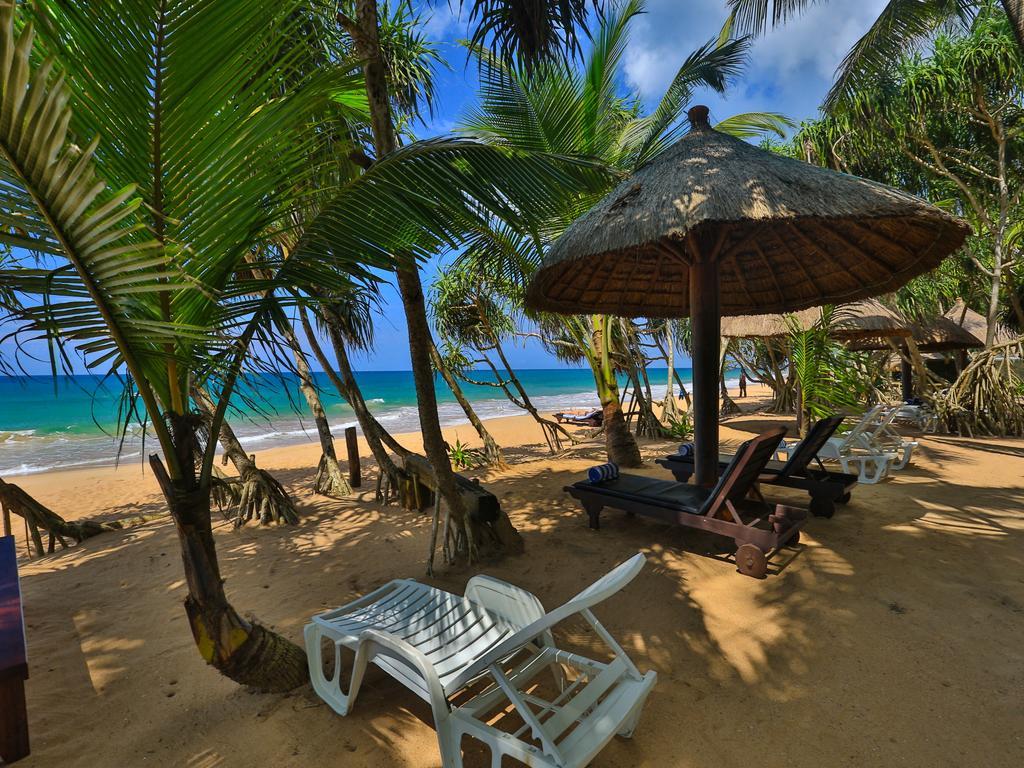 Thejan Beach Cabanas Bentota Buitenkant foto